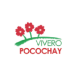 Logos pagina web_Mesa de trabajo 1 copia 93